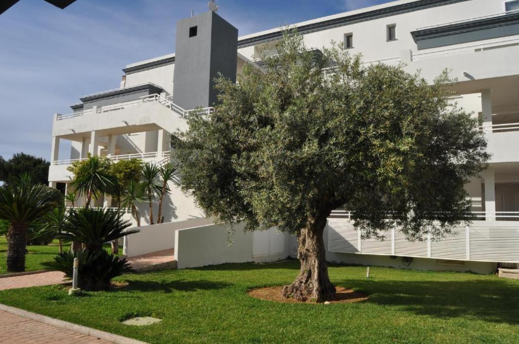 Oasis Hoyo 12 - Oliva Nova Playa Met&Golf Leilighet Eksteriør bilde