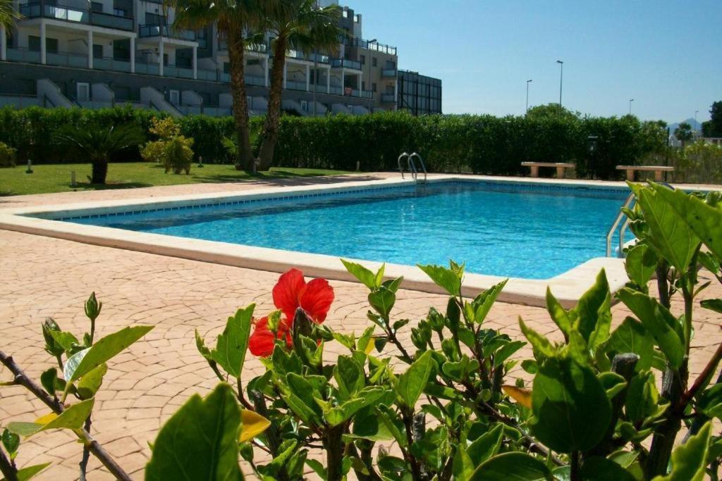 Oasis Hoyo 12 - Oliva Nova Playa Met&Golf Leilighet Eksteriør bilde
